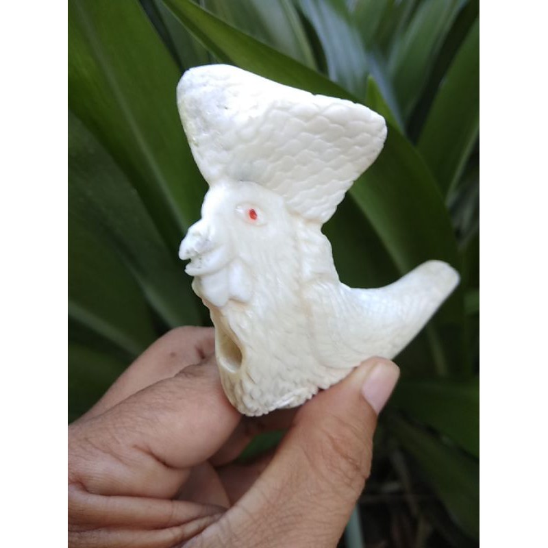 PIPA ONCE IGA DUYUNG UKIR UNIK