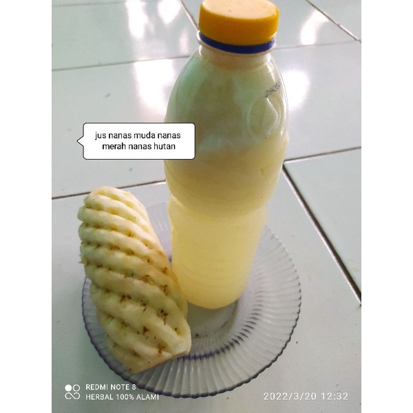 

jus nanas merah asli organik per botol 600 ml