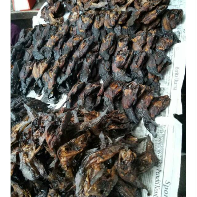 

Ikan sale medan