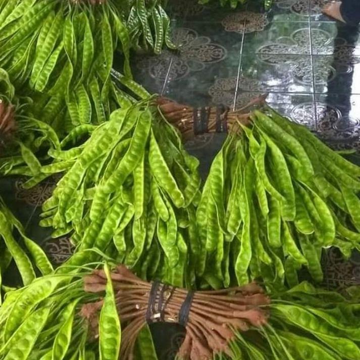 

DISCOUNT !! 7.7 Buah 10pcs pete petai lalapan petai super fresh langsung dari pohon [KODE 868]