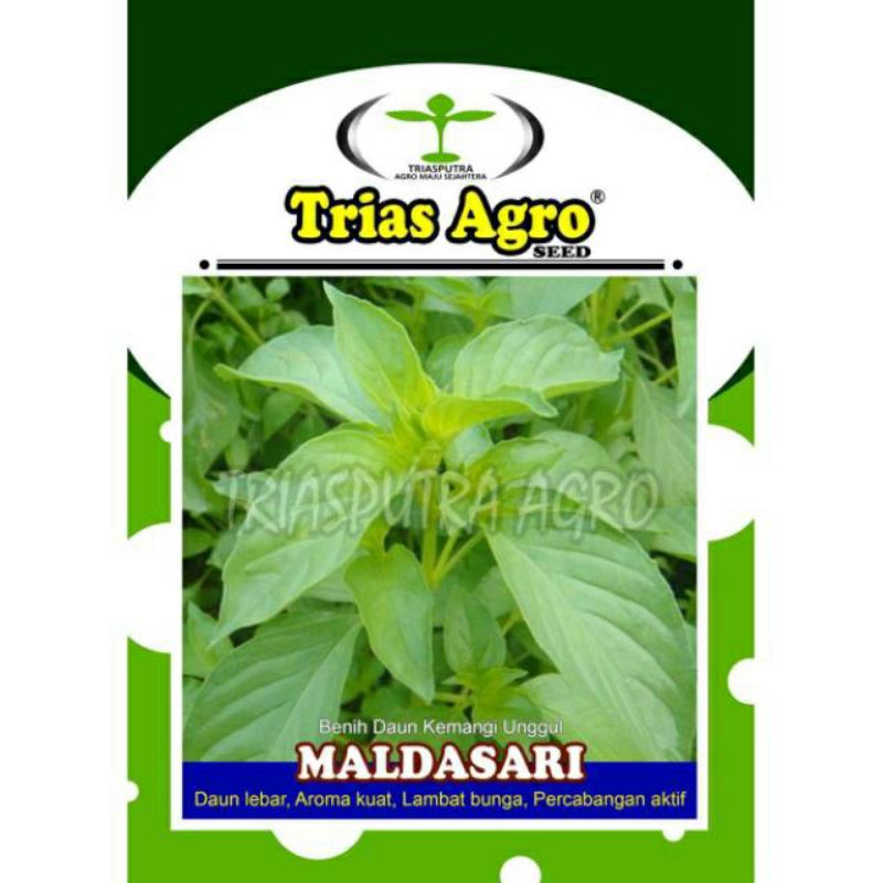 Bibit Kemangi MALDASARI isi 10 gram