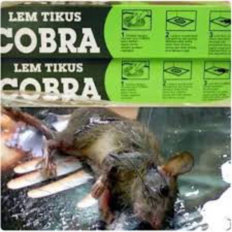 Lem Tikus Cobra Super Lengket - Jebakan Tikus Cobra