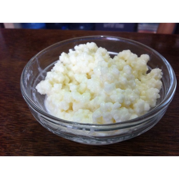 

Bibit Kefir Berkualitas (BERKUALITAS)