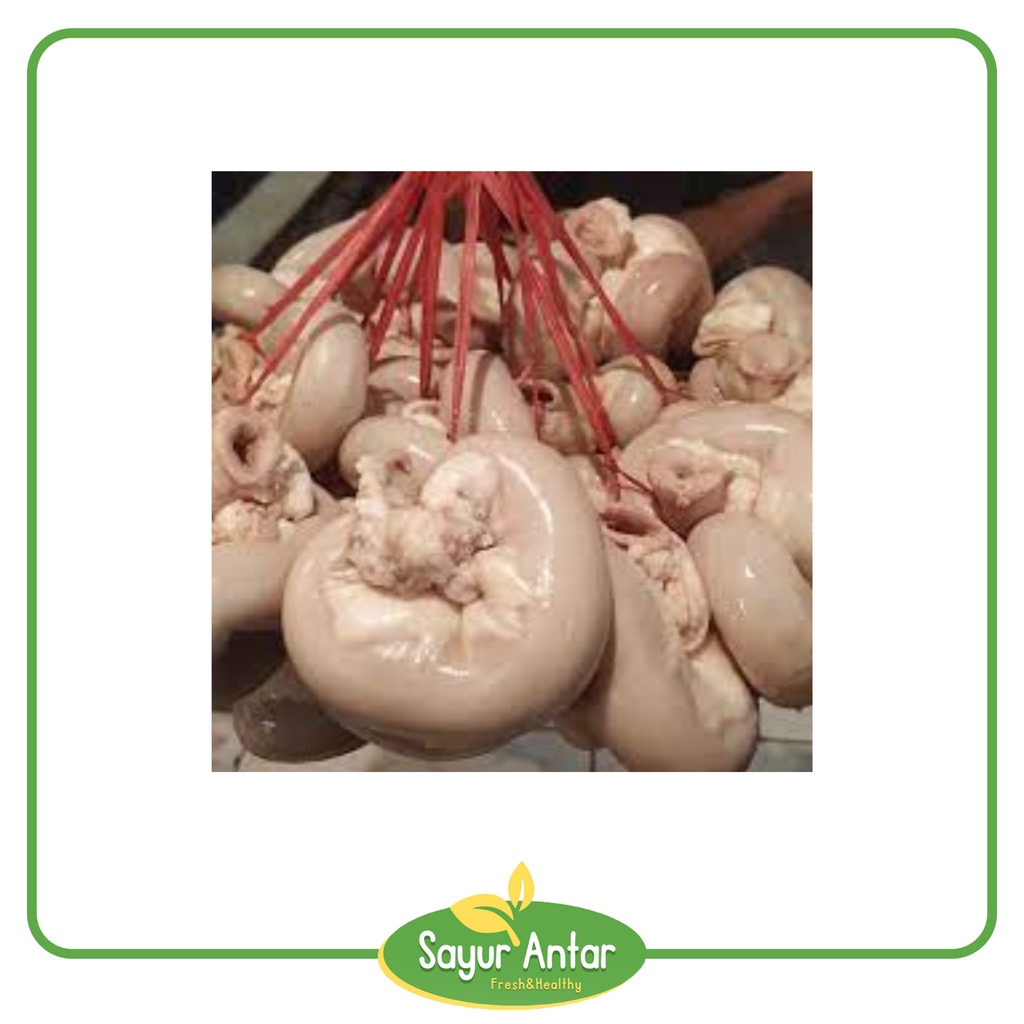 

Tamusu Sapi / Usus Sapi 500 gr | Sayur.Antar | Free Ongkir Bandung Cimahi