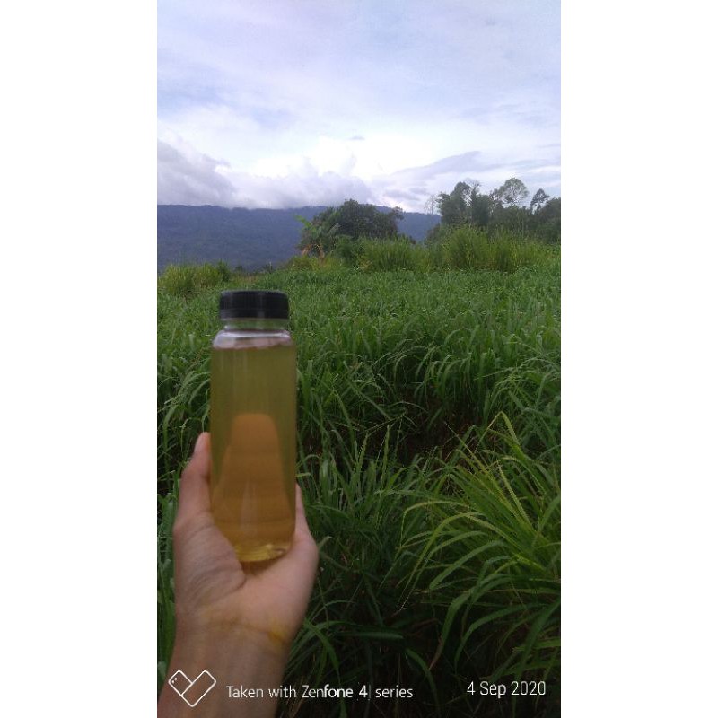 

SitronellaOil 200gr 100%Pure ECER