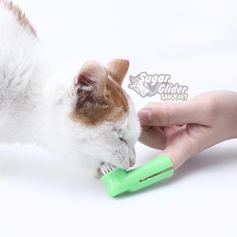 TOOTHBRUSH for PET Sikat Gigi Hewan Anjing Kucing kelinci free Sarung Jari Pembersih musang monyet