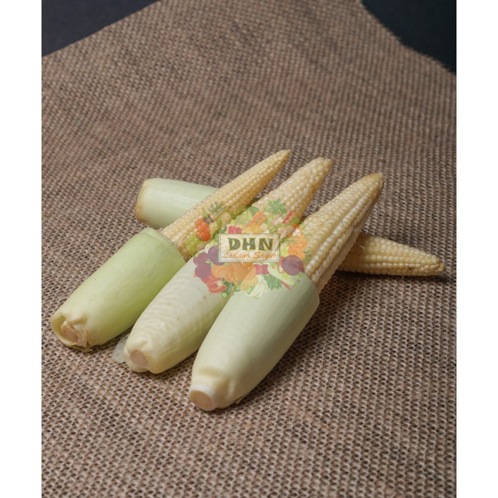 

Jagung Putren / Baby Corn