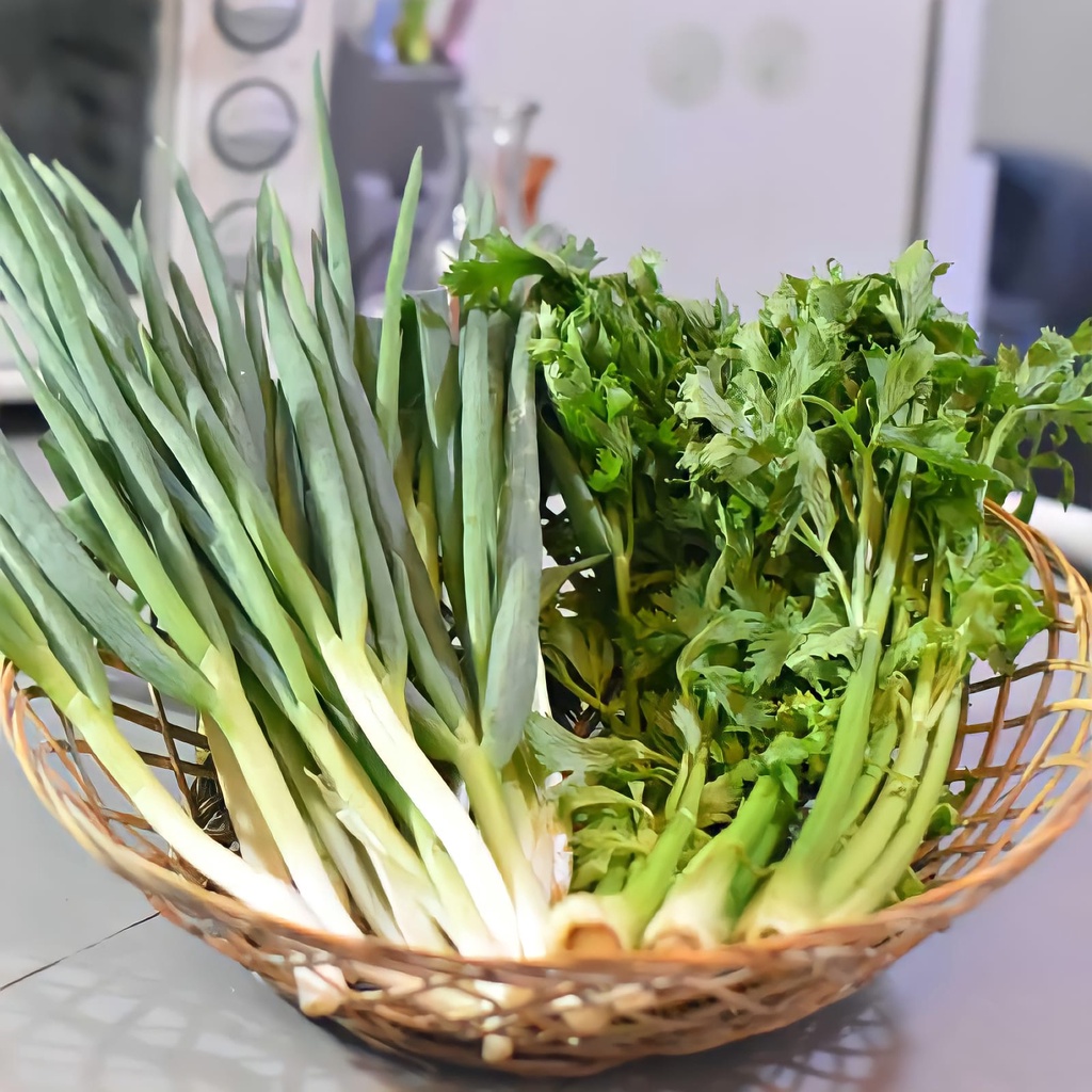 

Daun Bawang Seledri Segar Seikat Murah