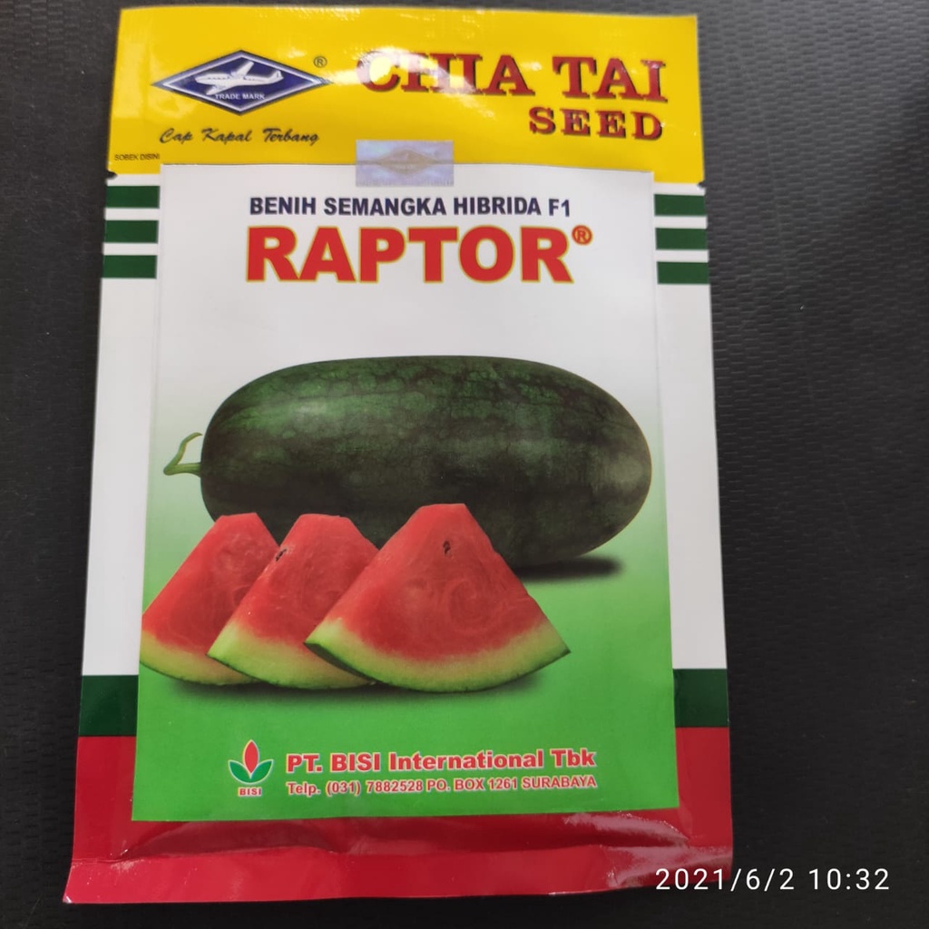 Benih Bibit Semangka Inul Hibrida F1 RAPTOR isi 20gr