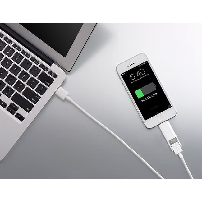 Innergie MagiCable Duo with Lightning Connector 2-in-1 USB Charging