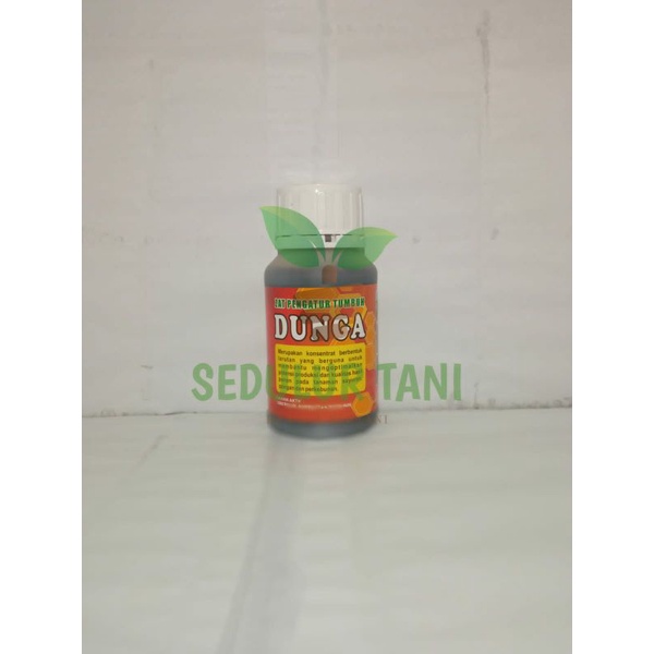 ZAT PENGATUR TUMBUH DUNGA