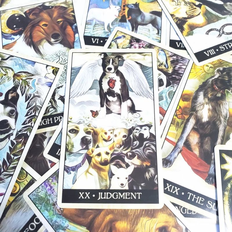 Wise Dog Tarot