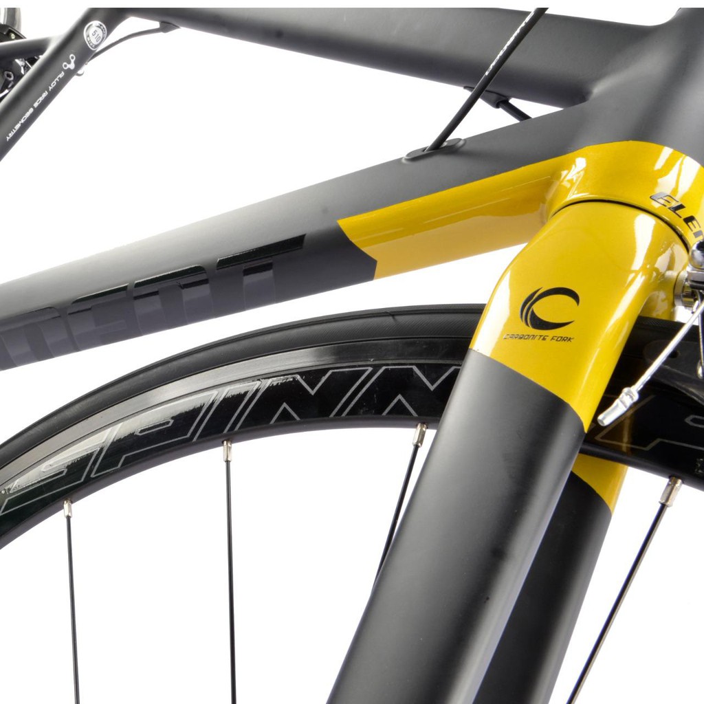 Sepeda Balap Element Roadbike Curved 700C road bike fork carbon RD SHIMANO TIAGRA Curve Garansi Camp-3