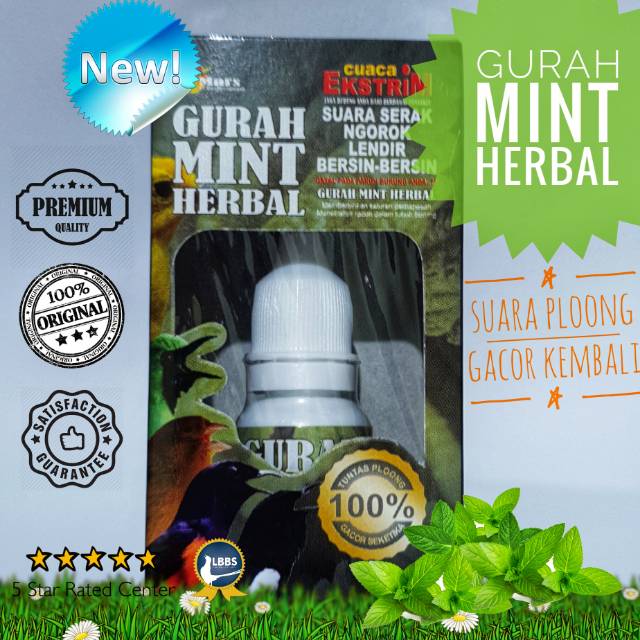 Gurah Mint Herbal 100 Tuntas Atasi Serak Burung Gacor Kembali Indonesia