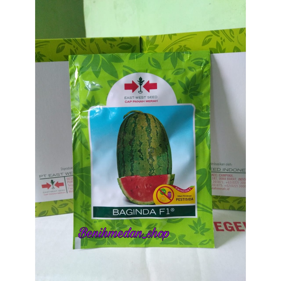 Benih Semangka Merah Baginda F1 isi 380 butir