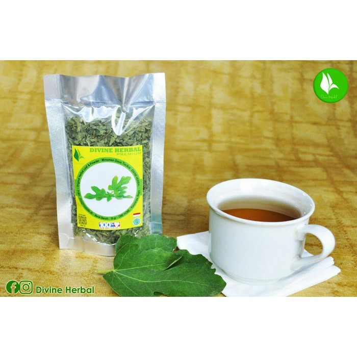 

Teh daun Tin atasi batu ginjal, Meningkatkan Imunitas Tubuh,