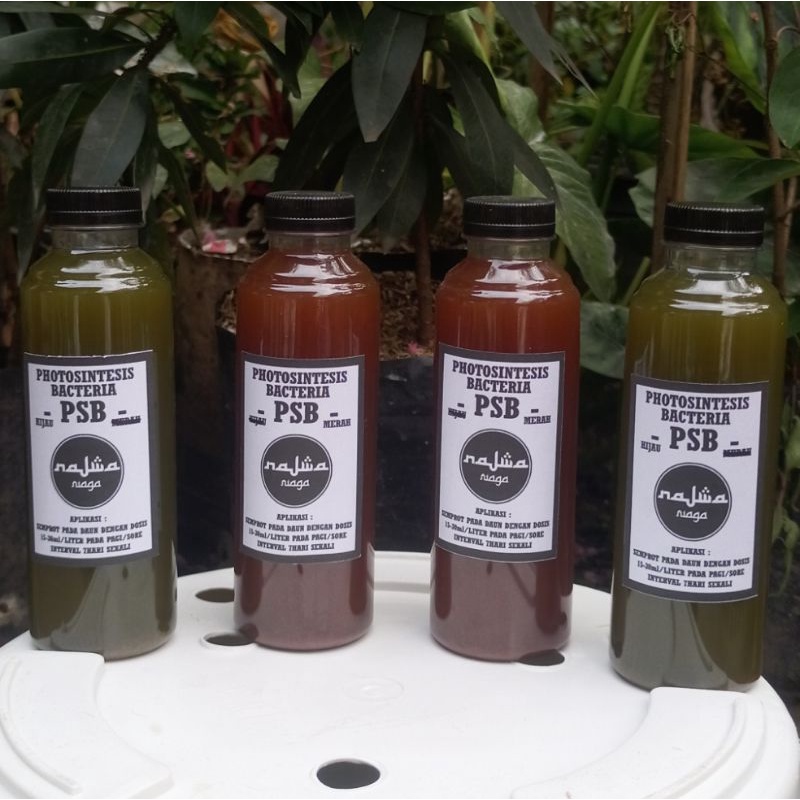 Biang Pupuk Organik Bakteri Fotosintesis PSB Kemasan 250ml & 600ml