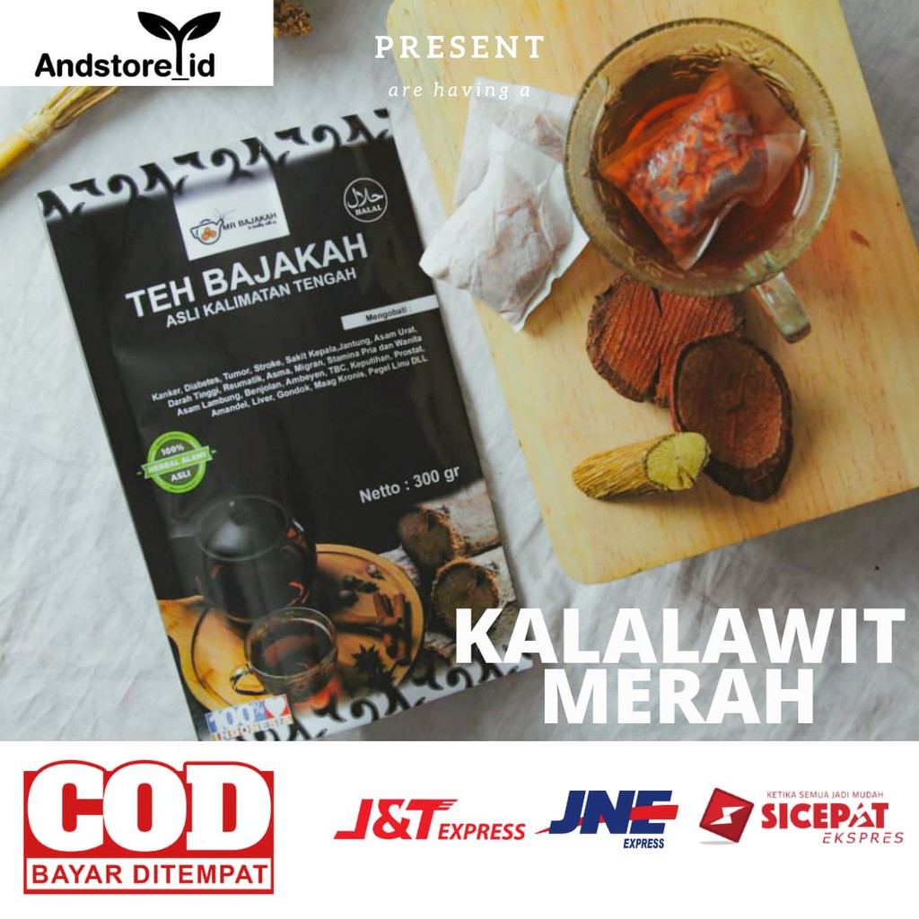 

Teh Bajakah Kalimantan Asli 100% Kualitas Premium Murni Akar Kayu Bajakah