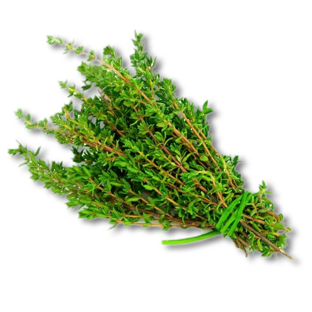 

Thyme @20gr