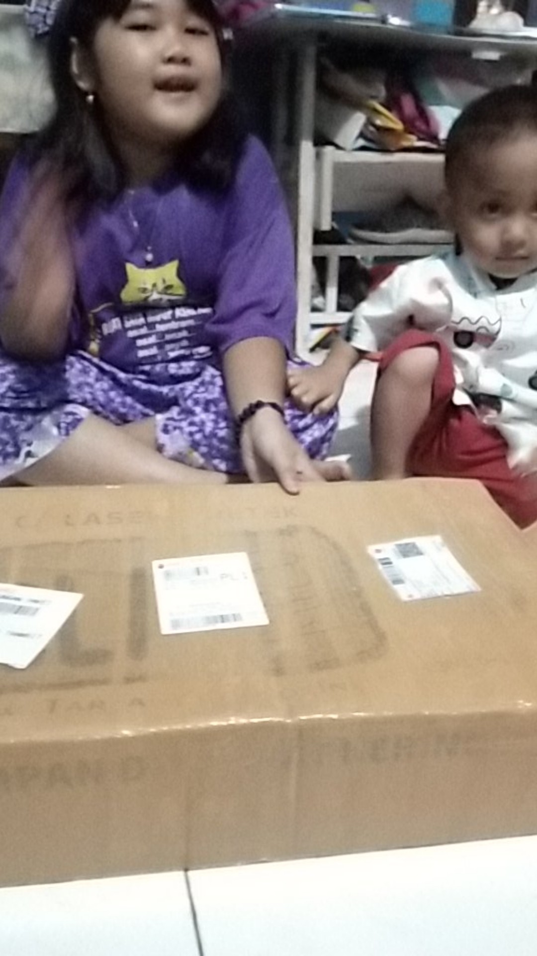 Tanaman Hias Peace Lily Sepatu Phylum Pohon Sepatu Pilem