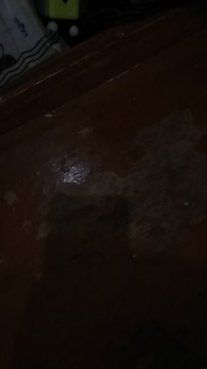 (bisa Cod) Kemeja Batik Anak Cowok//baju Batik Anak Cowok//batik Anak Laki Laki// Kemeja Anak Modern