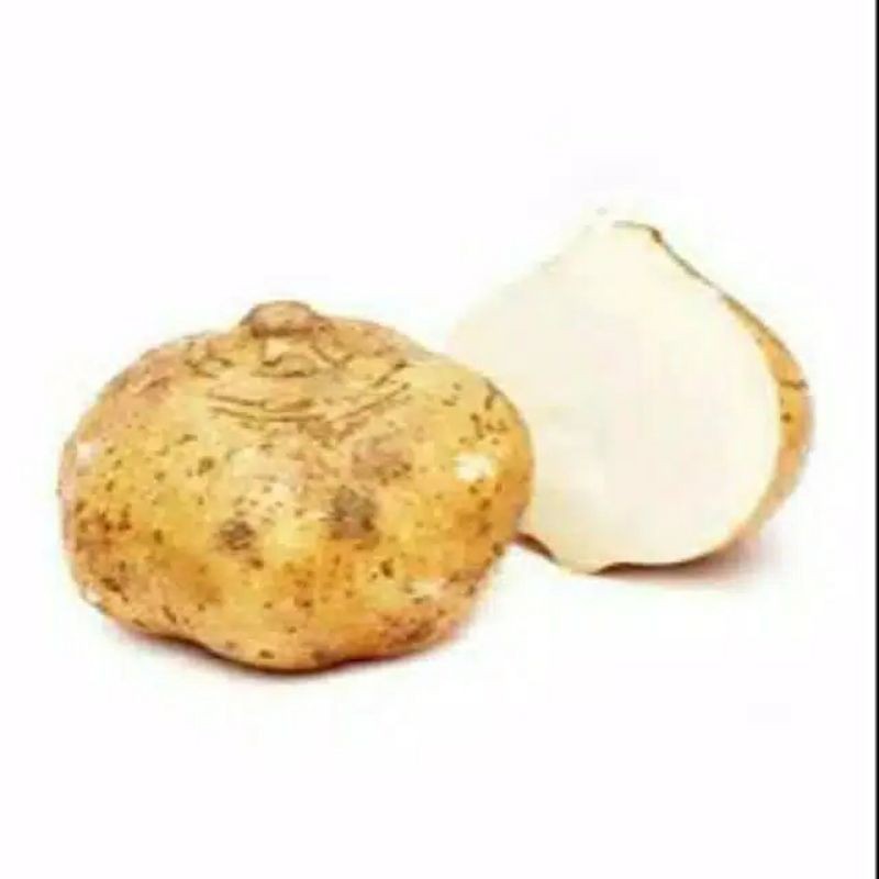 

bengkoang 1000gr
