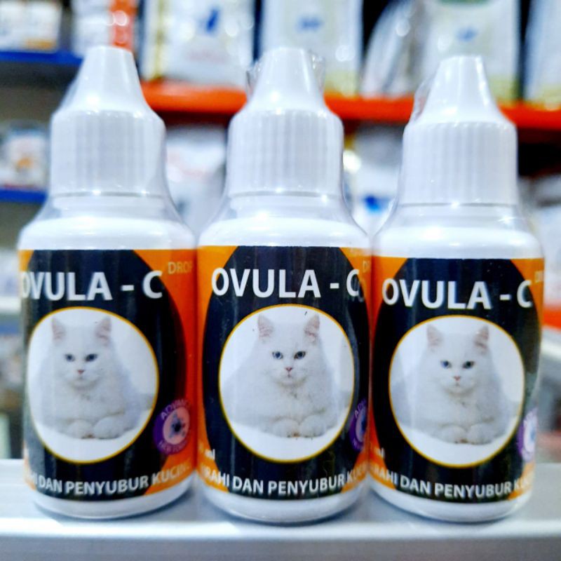 Ovula - C obat untuk birahi dan penyubur kucing