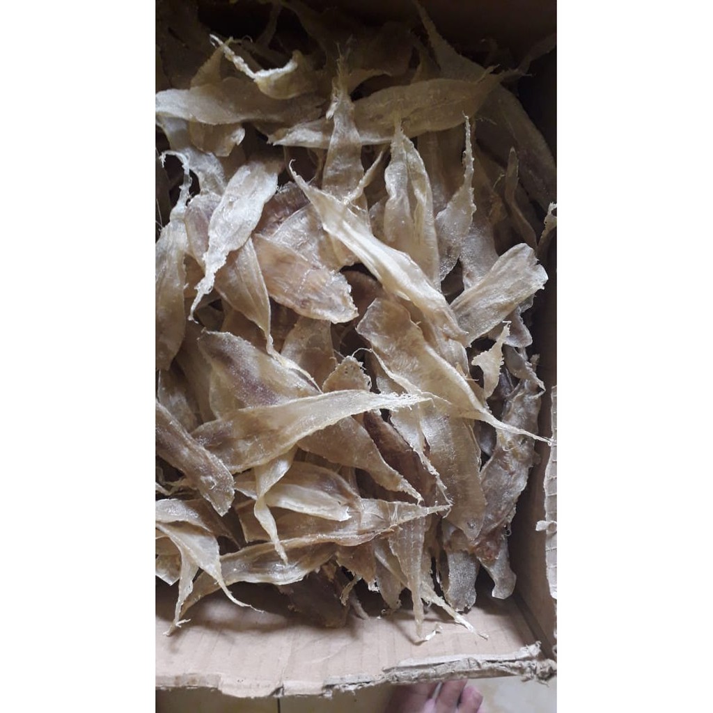 PER 10GR GELEMBUNG IKAN /  PERUT IKAN / FISH MAW GULAMA KOREA