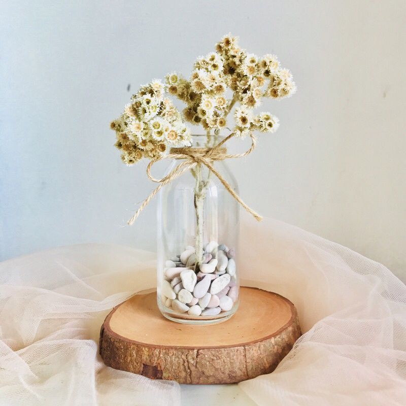 Vas bunga kaca minimalis Vas kaca bening Vas kaca tali rami vas bunga