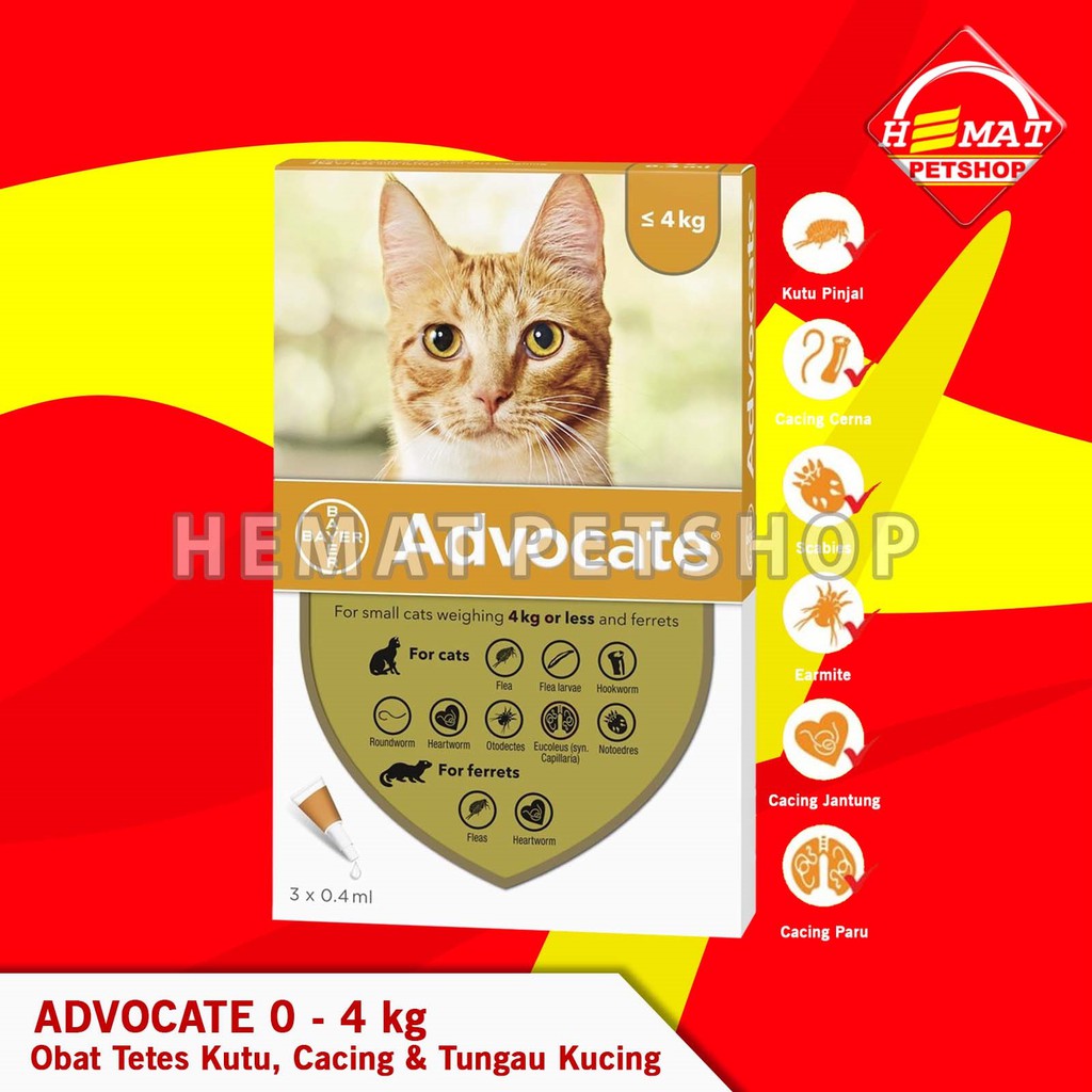 Obat Tetes Kutu Cacing Tungau Flea Scabies Kucing Advocate 0 – 4 KG