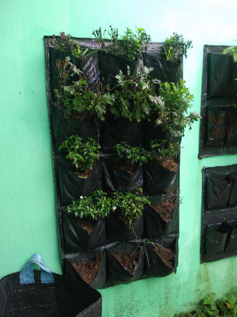 Planter Bag Dinding 16 Kantong