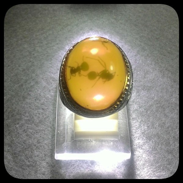 CINCIN FOSIL AMBER SEPAH SEMUT HQ