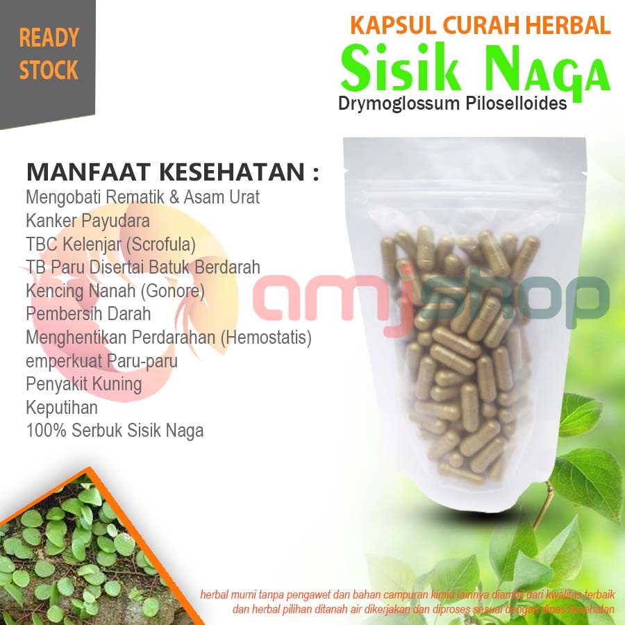 

Kapsul curah herbal sisik naga kapsul herbal rematik asam urat tbc