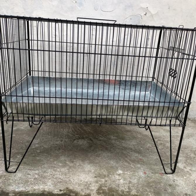Bak mandi burung angkar mandi burung murai Kacer kenari c.ijo