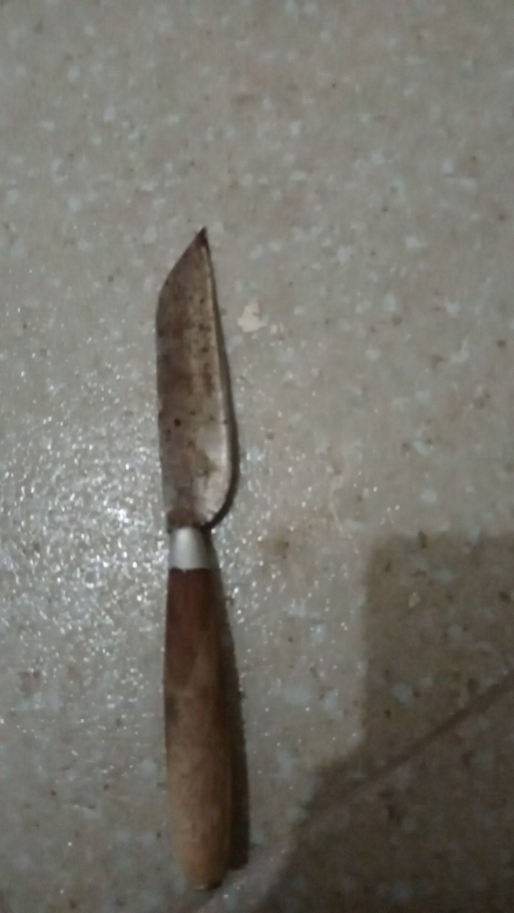 Pisau Dapur Kecil Tajam / Pisau Kecil Besi Baja Tajam