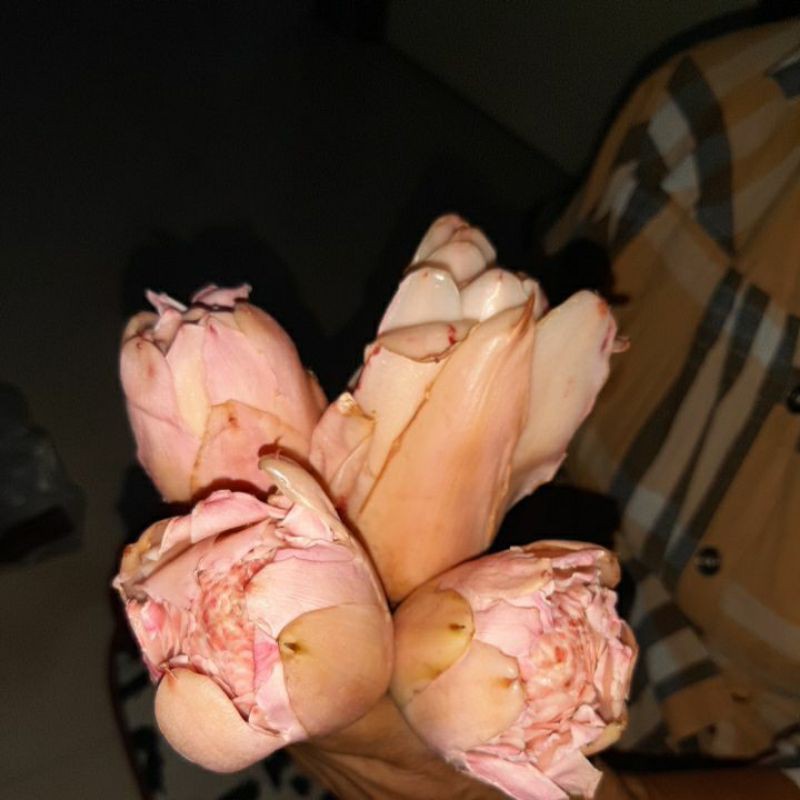 

kecombrang