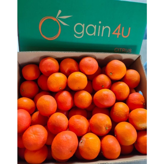 

jeruk Citrus manis banget nih noh biji 8-9kg