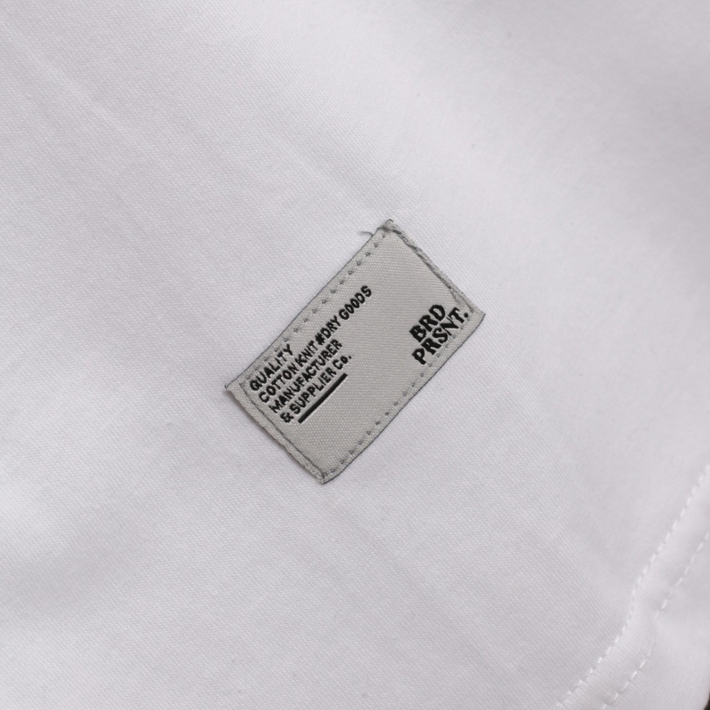 T – Shirt BRAD ASTRO – Edition Trendy Casual Unisex Good Brand Quality Stylish