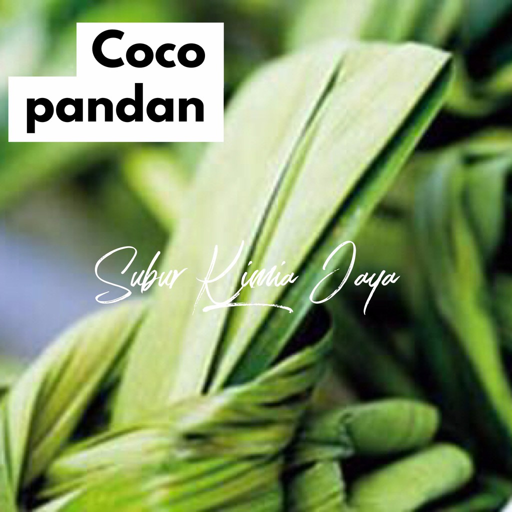 

Cocopandan Essence 15 ml