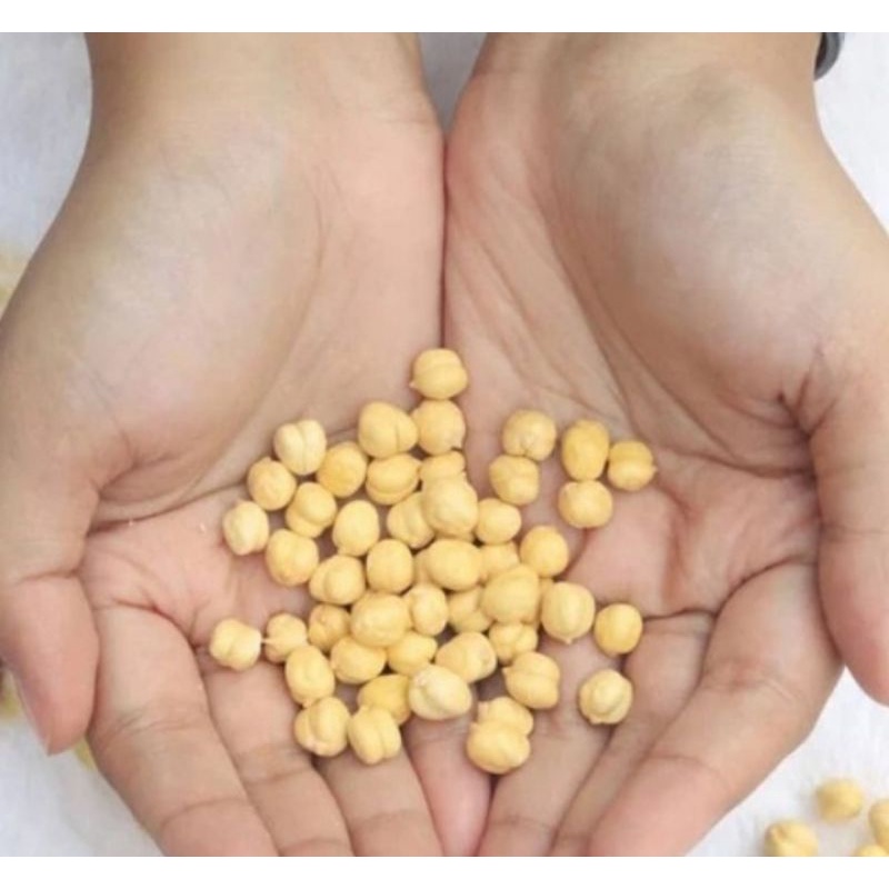 

Kacang arab 1kg/kacang arab murah