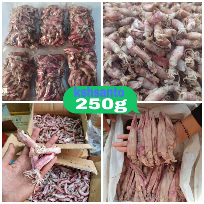 

ikan asin cumi telur/cumi bebby/lontar aneka-250g