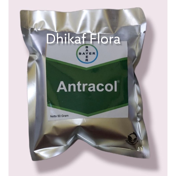 Antracol 50 gram