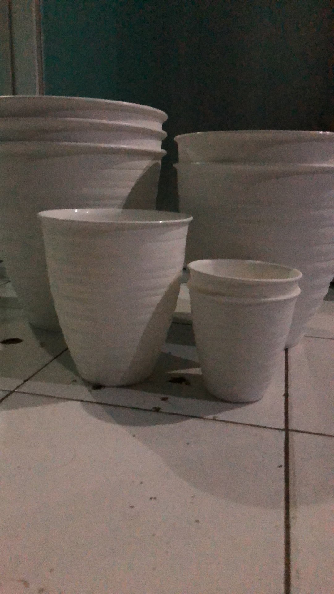 Pot Bunga Tanaman Tawon Putih Tinggi (pirus) 12cm - Mini