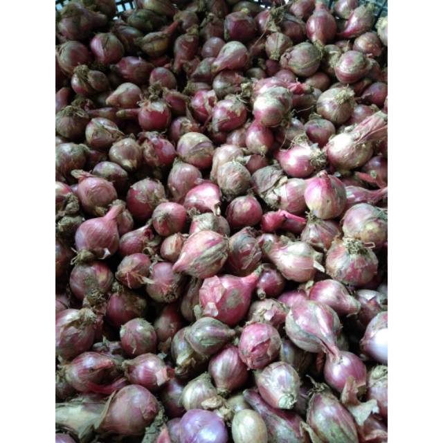 

Bawang Merah 500gr