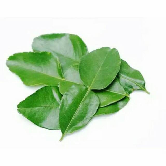 

Puri Segar Shop, Daun jeruk purut 50 gram / pack