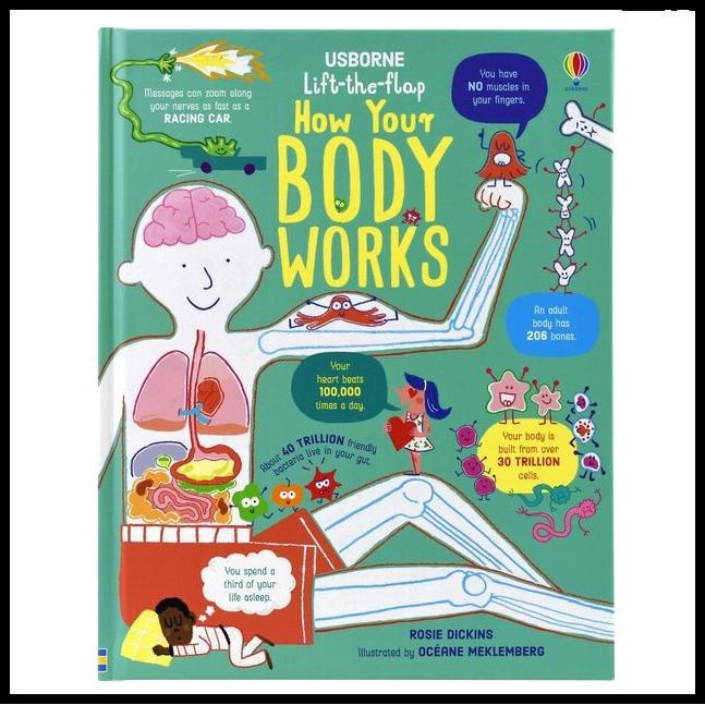 Starlight | Usborne How Your Body Works Buku Board Book