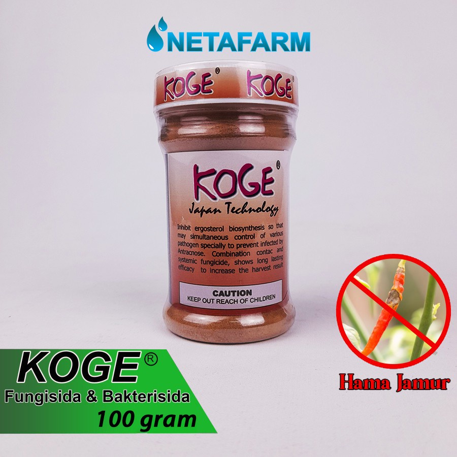 Fungisida Bakterisida KOGE Obat Anti Busuk Cabe - 100gr