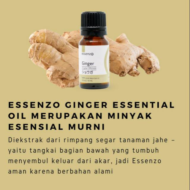 

Essensial oil Ginger / Jahe (ASMA)