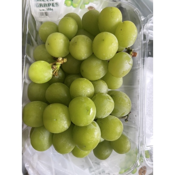 

AnggurMuscat/pax/500gram
