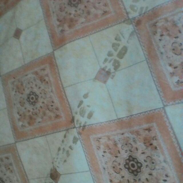 Pisau Roller Ganda Bahan Baja Untuk Memotong Pizza / Pasta / Adonan